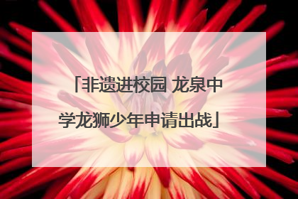 非遗进校园 龙泉中学龙狮少年申请出战