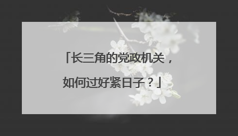 长三角的党政机关，如何过好紧日子？