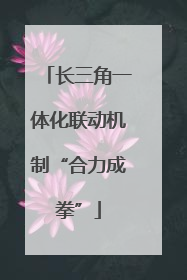 长三角一体化联动机制“合力成拳”