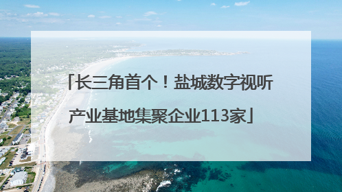 长三角首个！盐城数字视听产业基地集聚企业113家