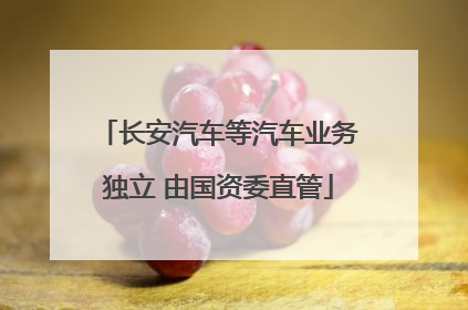 长安汽车等汽车业务独立 由国资委直管
