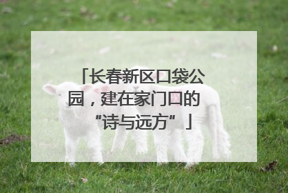 长春新区口袋公园，建在家门口的“诗与远方”