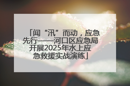 闻“汛”而动，应急先行——河口区应急局开展2025年水上应急救援实战演练