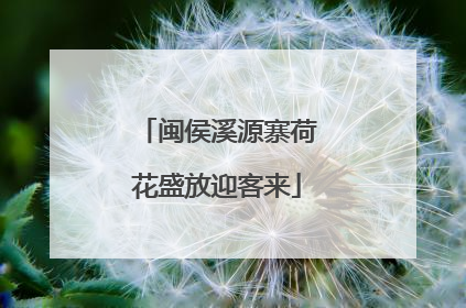 闽侯溪源寨荷花盛放迎客来