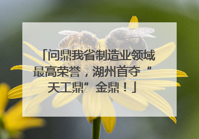 问鼎我省制造业领域最高荣誉，湖州首夺“天工鼎”金鼎！