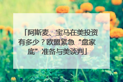 阿斯麦、宝马在美投资有多少？欧盟紧急“盘家底”准备与美谈判