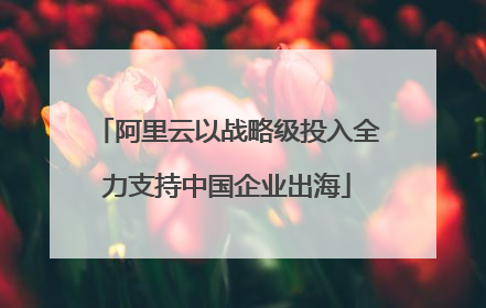 阿里云以战略级投入全力支持中国企业出海