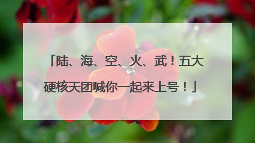 陆、海、空、火、武！五大硬核天团喊你一起来上号！