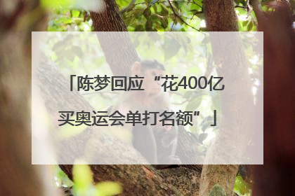 陈梦回应“花400亿买奥运会单打名额”