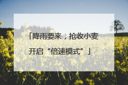 降雨要来，抢收小麦开启“倍速模式”