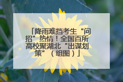 降雨难挡考生“问招”热情！全国百所高校聚湖北“出谋划策”（组图）