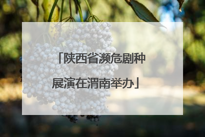 陕西省濒危剧种展演在渭南举办