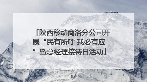 陕西移动商洛分公司开展“民有所呼 我必有应”暨总经理接待日活动