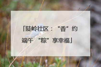 陡岭社区：“香”约端午 “粽”享幸福
