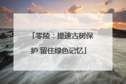 零陵：提速古树保护 留住绿色记忆
