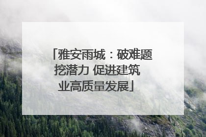 雅安雨城：破难题 挖潜力 促进建筑业高质量发展
