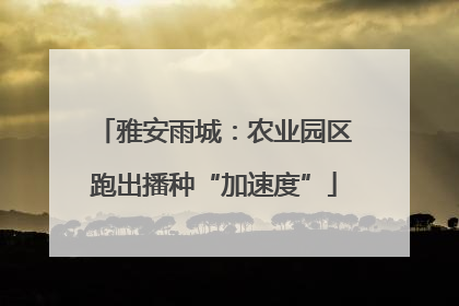 雅安雨城：农业园区跑出播种“加速度”
