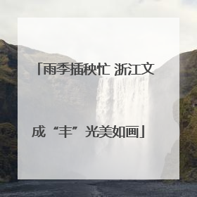 雨季插秧忙 浙江文成“丰”光美如画