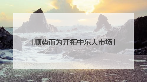 顺势而为开拓中东大市场