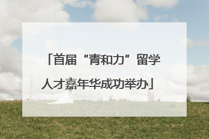 首届“青和力”留学人才嘉年华成功举办