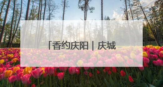 香约庆阳｜庆城桐川镇：创新求变 让“小苹果”做成“大产业”
