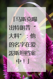 马斯克曝出特朗普“大料”：他的名字在爱泼斯坦档案中！