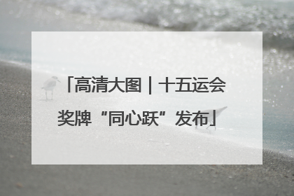 高清大图｜十五运会奖牌“同心跃”发布