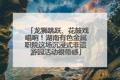 龙狮跳跃、花鼓戏唱响！湖南有色金属职院这场沉浸式非遗游园活动很带感