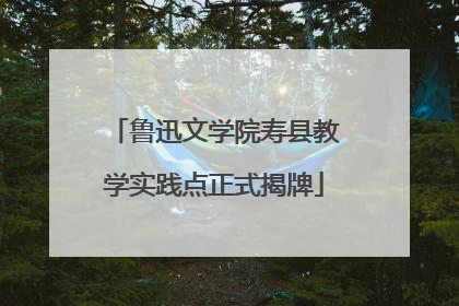 鲁迅文学院寿县教学实践点正式揭牌