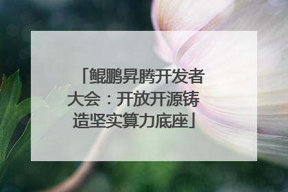 鲲鹏昇腾开发者大会：开放开源铸造坚实算力底座