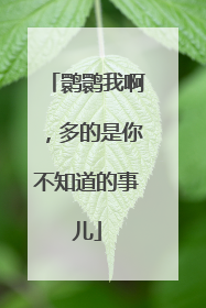 鹮鹮我啊，多的是你不知道的事儿