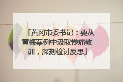 黄冈市委书记：要从黄梅案例中汲取惨痛教训，深刻检讨反思