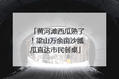 黄河滩西瓜熟了！梁山万余亩沙瓤瓜直达市民餐桌