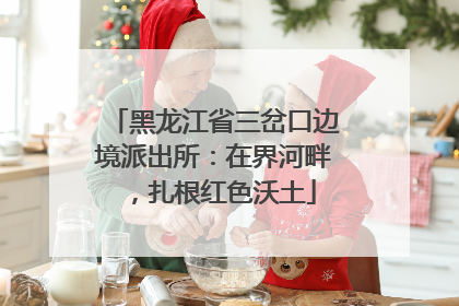 黑龙江省三岔口边境派出所：在界河畔，扎根红色沃土