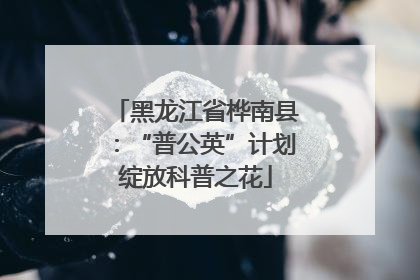 黑龙江省桦南县：“普公英”计划绽放科普之花