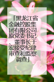 黑龙江省金融控股集团有限公司原党委书记、董事长于宏接受纪律审查和监察调查