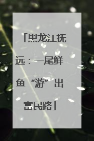 黑龙江抚远：一尾鲜鱼“游”出富民路