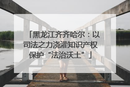 黑龙江齐齐哈尔：以司法之力浇灌知识产权保护“法治沃土”