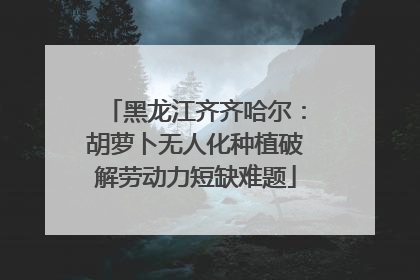 黑龙江齐齐哈尔：胡萝卜无人化种植破解劳动力短缺难题