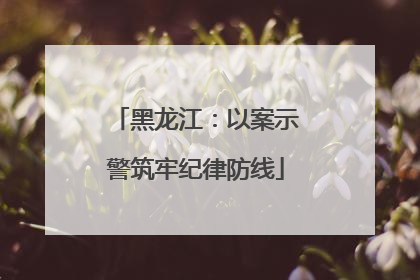 黑龙江：以案示警筑牢纪律防线