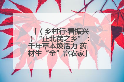 （乡村行·看振兴）“正北芪之乡”：千年草本焕活力 药材生“金”富农家