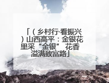 （乡村行·看振兴）山西高平：金银花里采“金银” 花香溢满致富路