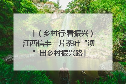 （乡村行·看振兴）江西信丰一片茶叶“沏”出乡村振兴路