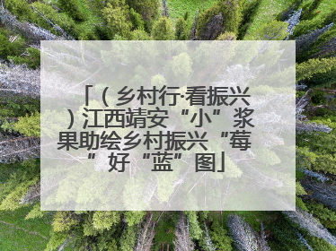 （乡村行·看振兴）江西靖安“小”浆果助绘乡村振兴“莓”好“蓝”图