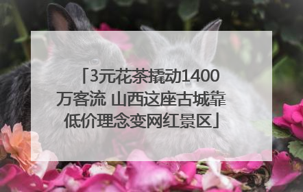 3元花茶撬动1400万客流 山西这座古城靠低价理念变网红景区