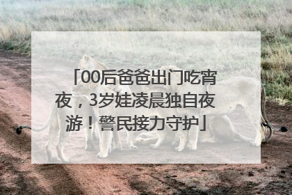 00后爸爸出门吃宵夜，3岁娃凌晨独自夜游！警民接力守护