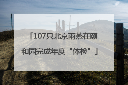 107只北京雨燕在颐和园完成年度“体检”