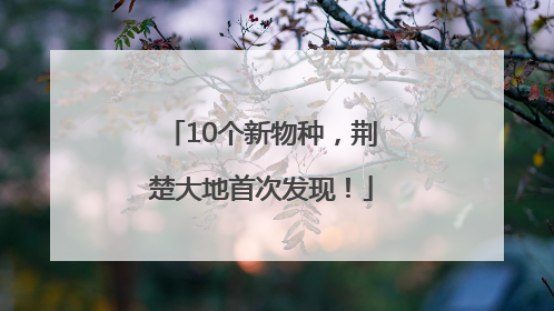 10个新物种，荆楚大地首次发现！