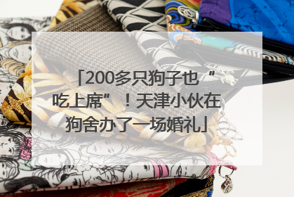 200多只狗子也“吃上席”！天津小伙在狗舍办了一场婚礼