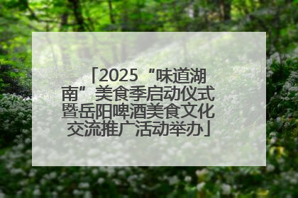 2025“味道湖南”美食季启动仪式暨岳阳啤酒美食文化交流推广活动举办